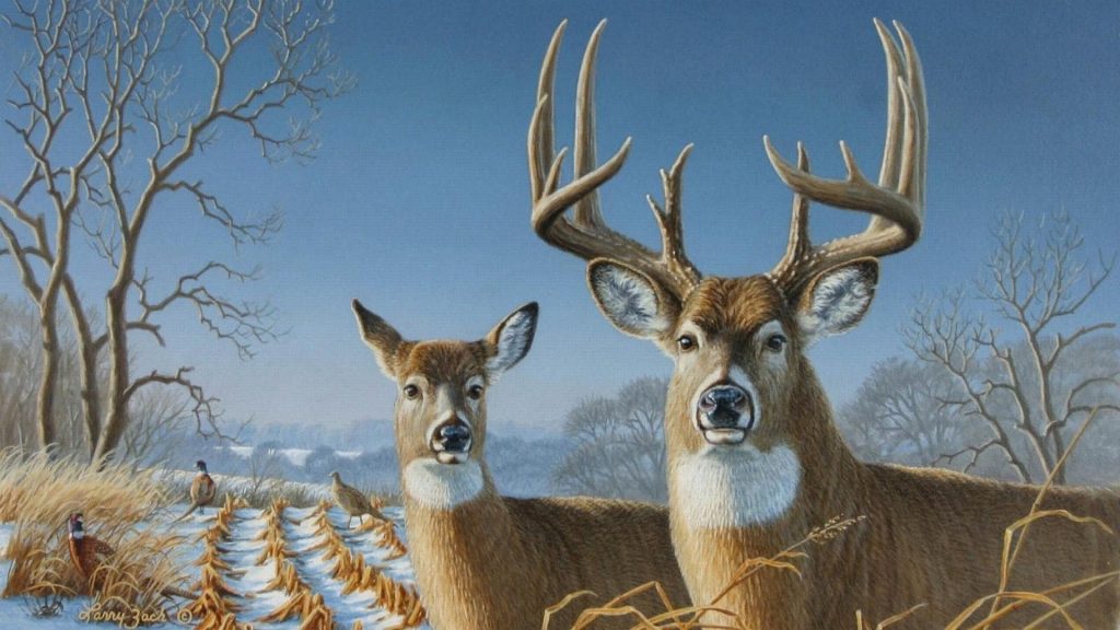 Deer Wallpaper (11)